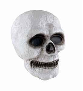 七彩骷髅头（中）（带灯光声音声控感应） - OBL10407124