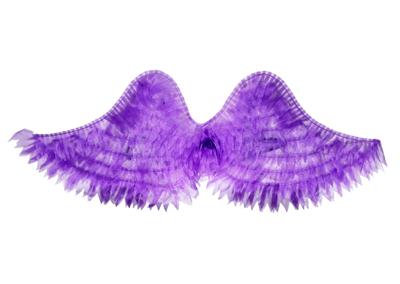 Dress / wings - OBL10415885