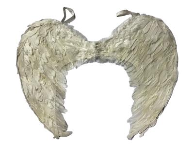 Dress / wings - OBL10416136