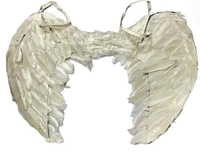 Dress / wings - OBL10416137