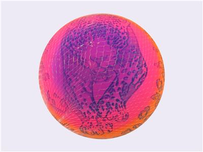 9寸老虎彩虹球 - OBL10433482