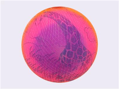 9寸长颈鹿彩虹球 - OBL10433485