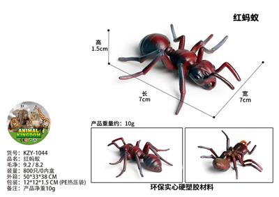 红蚂蚁 - OBL10436018
