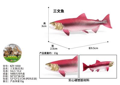 三文鱼(红色) - OBL10436022