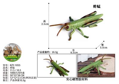 蚱蜢 - OBL10436027