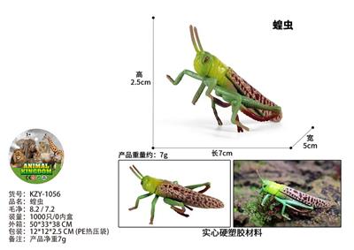 蝗虫 - OBL10436028