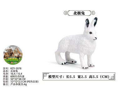 北极兔 - OBL10436120