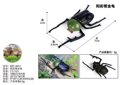 阳彩臂金龟 - OBL10436179