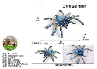 巴西蓝色捕鸟蜘蛛 - OBL10436191