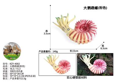 大鹦鹉螺(粉色) - OBL10436201