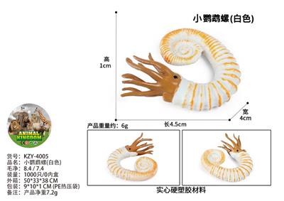 小鹦鹉螺(白色) - OBL10436204