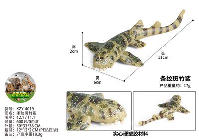 条纹斑竹鲨 - OBL10436218