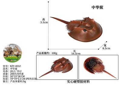 中华鲎 - OBL10436231