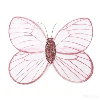 Dress / wings - OBL10441419