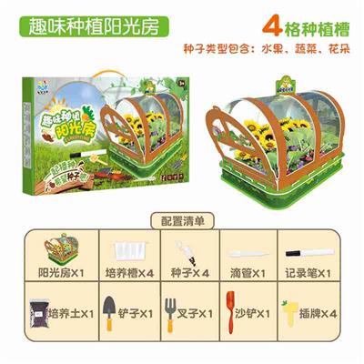 小号种植阳光房 - OBL10449576