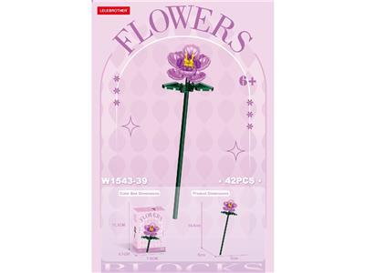 月季 52PCS - OBL10462651