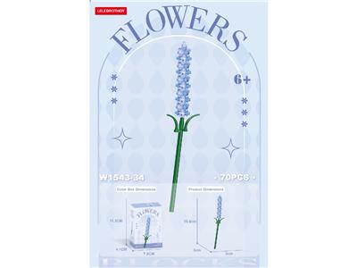 风信子 80PCS - OBL10462656