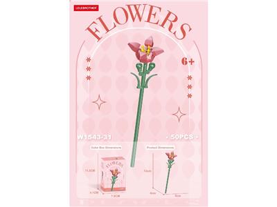 朱顶红 60PCS - OBL10462659