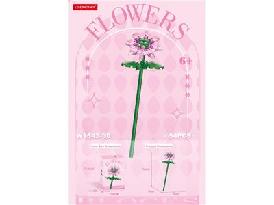 小冠花 66PCS - OBL10462660