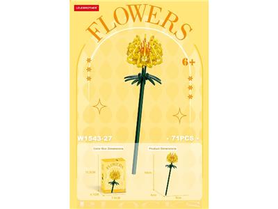 菊花 81PCS - OBL10462663