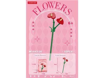 红掌 62PCS - OBL10462664