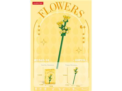 腊梅 79PCS - OBL10462674