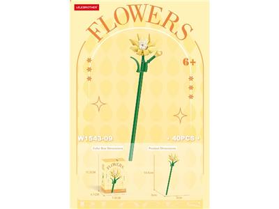 黄玉兰 52PCS - OBL10462681