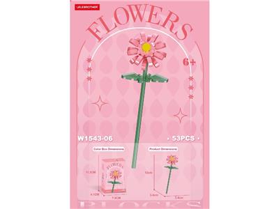 非洲菊 63PCS - OBL10462684