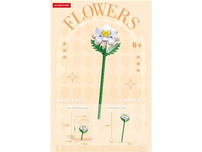 昙花 101PCS - OBL10462688