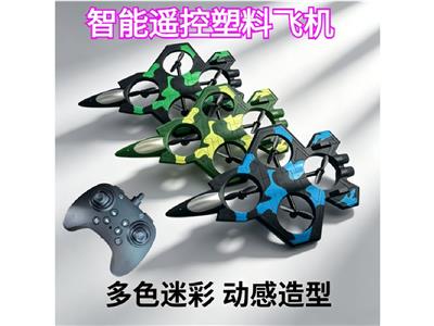 跨境新款塑料遥控飞机 - OBL10467261