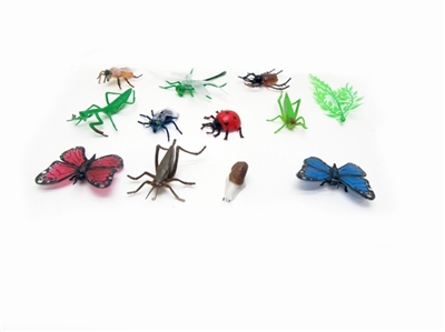 10 only to solid insects series of animals - OBL629689
