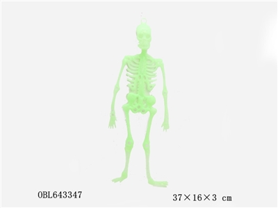 Noctilucent skeleton - OBL643347