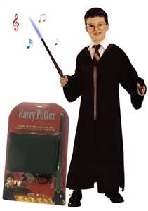 Harry potter equipment (magic wand features) - OBL662889