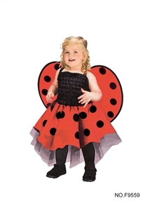 BB lady beetle - OBL662932