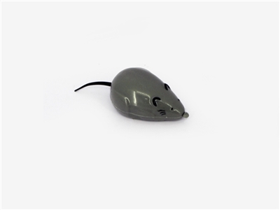 Back in the mouse - OBL668488