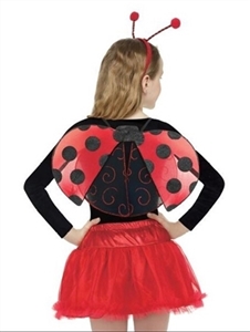 LADYBUG SET - OBL668941