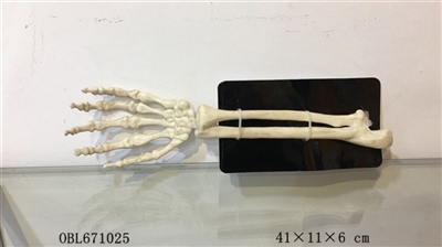 地插骷髅手 - OBL671025