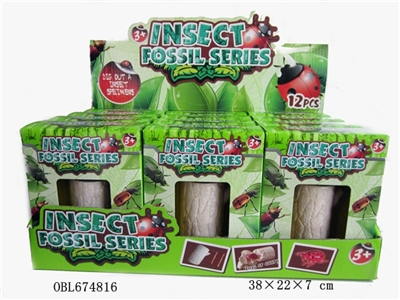 Mining fossil insects - OBL674816