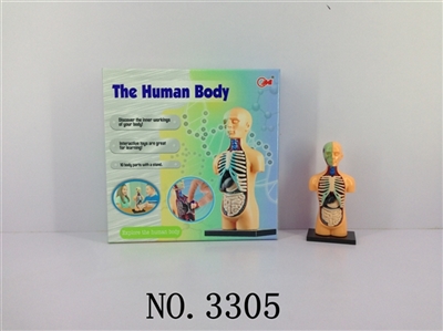 人体组合 - OBL678022