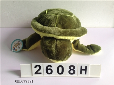 Sea turtles - OBL679391