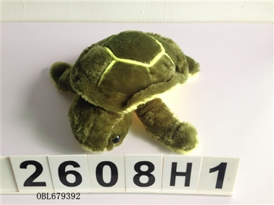 Sea turtles - OBL679392