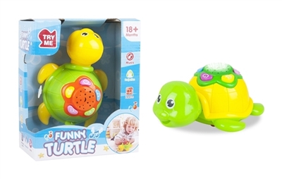 Magic little turtle - OBL700062