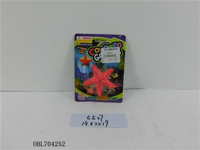 Color inflation - 600% of starfish - OBL704252