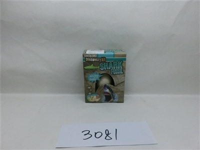 Mining Marine fossils - OBL705685