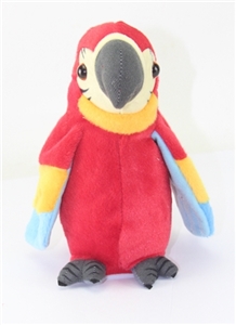 Sing the parrot - OBL722420