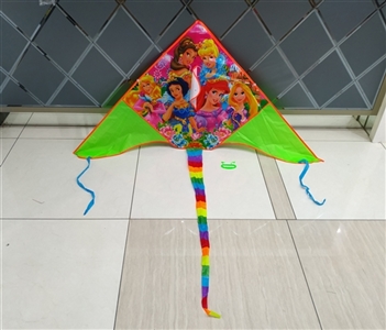 1.6 m kite princess (wiring) - OBL737540