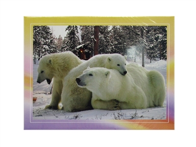 300 PCS of the puzzle - OBL738129