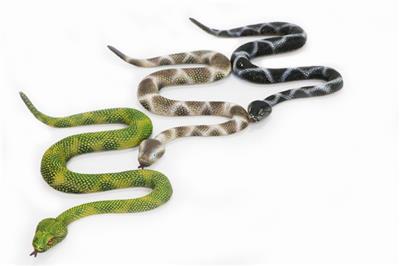 The snake - OBL742136