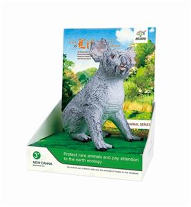 Tyrannosaurus rex - OBL743572