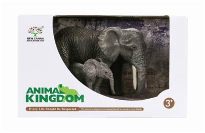 White-tailed deer six suits - OBL743660